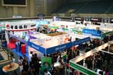 IMG_6238